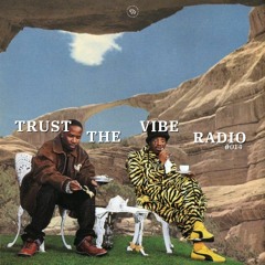 TRUST THE VIBE RADIO #014
