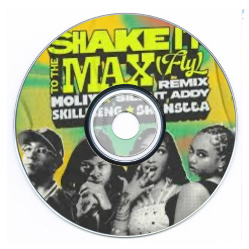 Shake it to the max(AVOIZE REMIX)