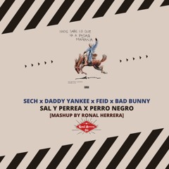 [FREE] SECH x FEID x BAD BUNNY - SAL Y PERREA x PERRO NEGRO (RONAL HERRERA MASHUP)
