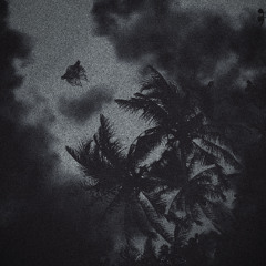 Bebop Transmission (2024)