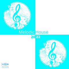 Melodic House 2022#001