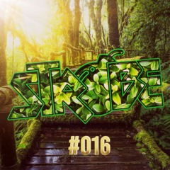 Strobe #016