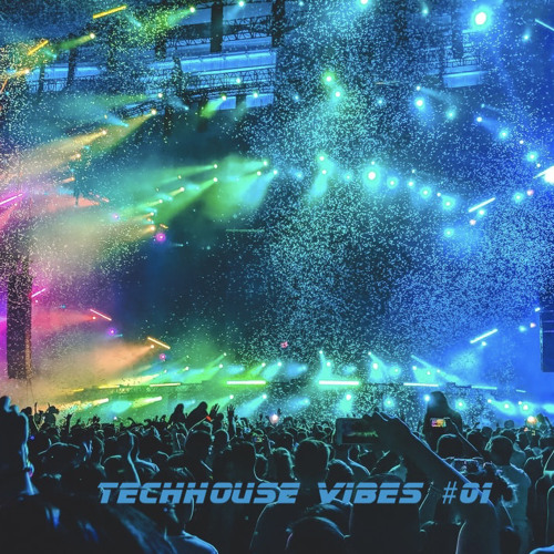 Techhouse Vibes #01