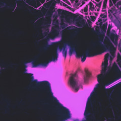 ⦁︎◖︎In Z Major (demo)◗︎⦁︎. ֯●︎