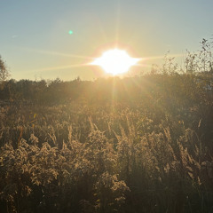 gotowy