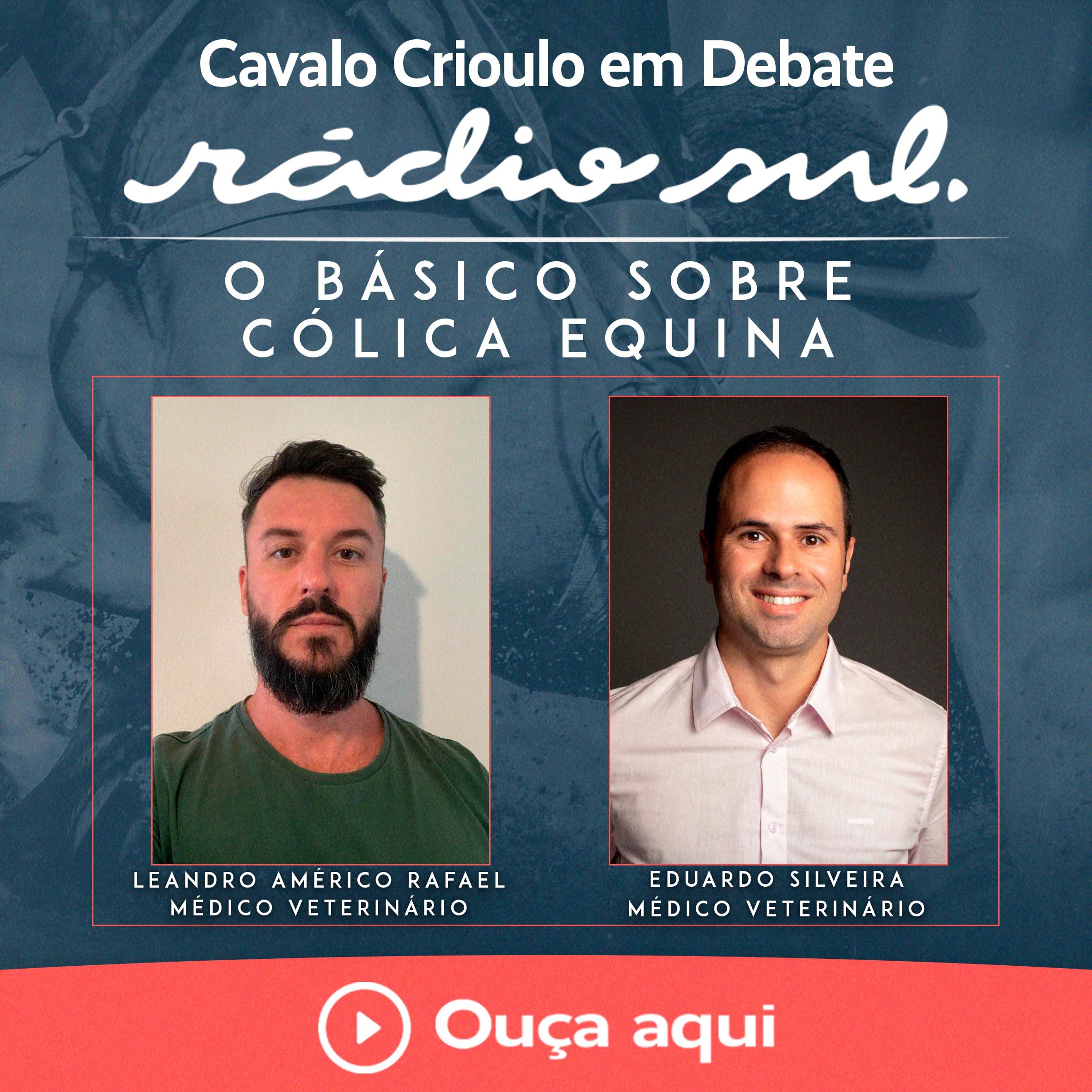 Cavalo Crioulo em Debate #179 - O Básico Sobre Cólica Equina episode artwork
