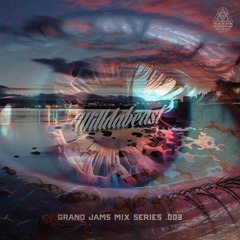 Grand Jams Mix Series .003 w/Willdabeast (FREE DL)