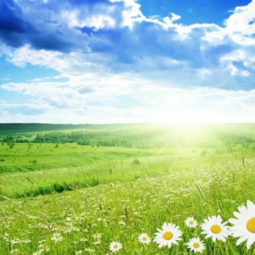 (Italian best background DOWNLOAD