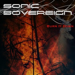 Burn It Down (Single)