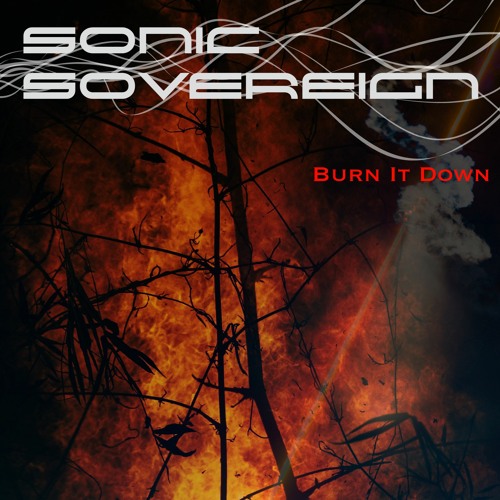 Burn It Down (Single)
