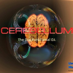 Cerebellum (Live set)