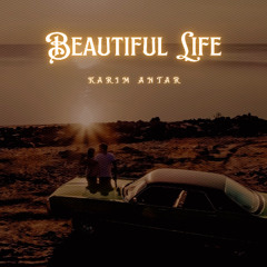 Beautiful Life