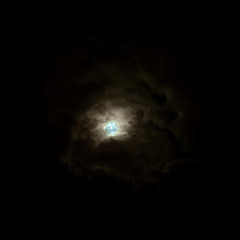 Ugly Shine Brilliance