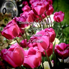 "Egmont" Overture, op. 84 - Ludwig Van Beethoven (8D Binaural Remastered - Music Therapy)