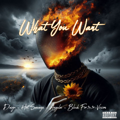 Dmyx ,Angela,Hot Savage,Blvck FOR3V3R,Vision-What you want.mp3