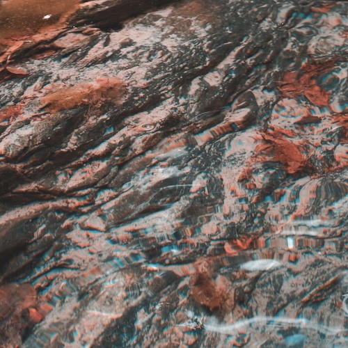 Dew on the rock