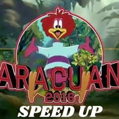 Aracuan 2016( SPEED UP)