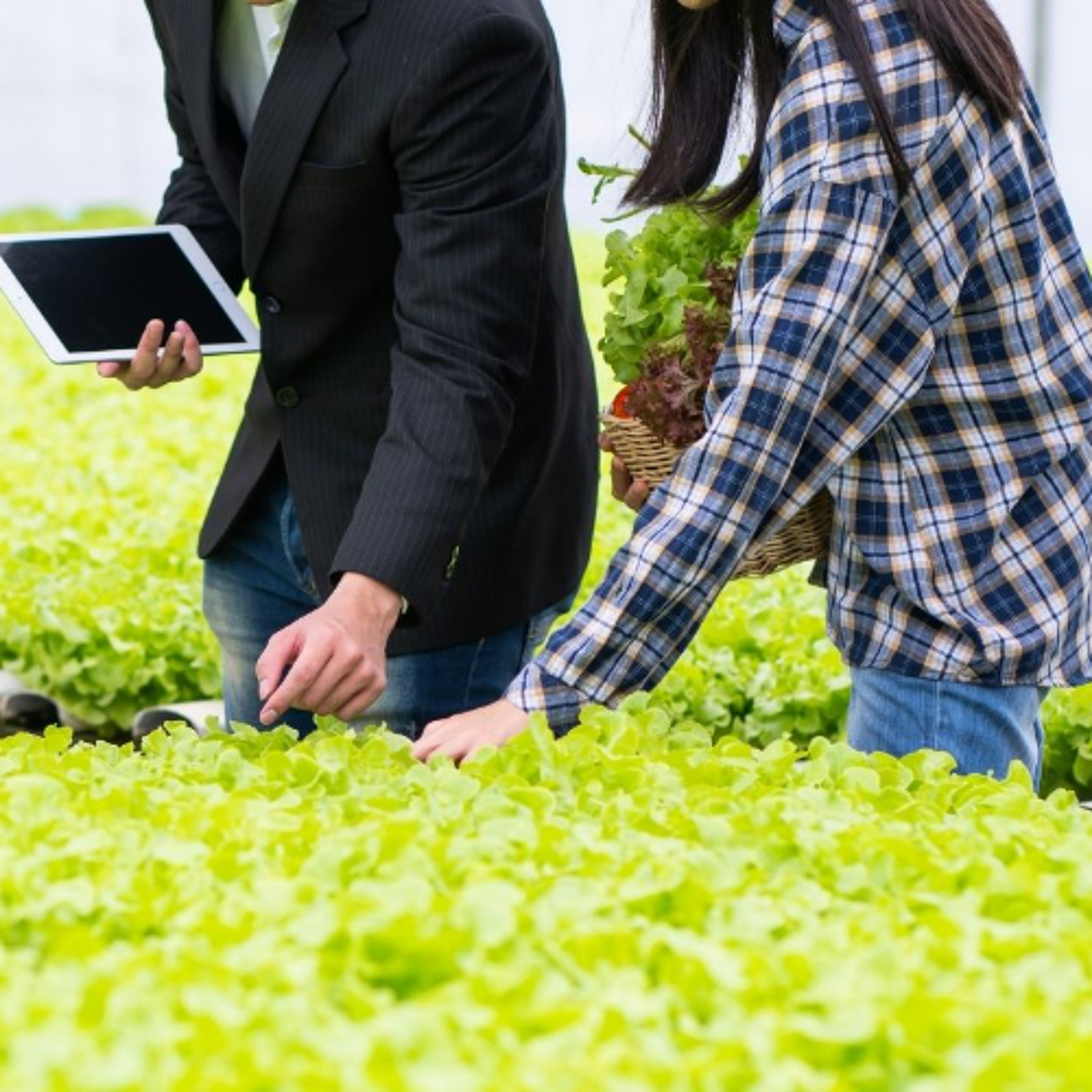 Feds investing $27 million to help young Canadians gain experience in agriculture