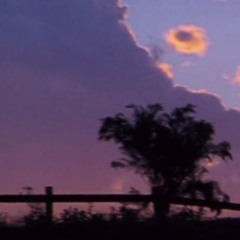 view demo