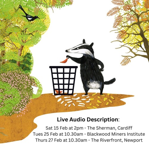 Tidy Audio Flyer