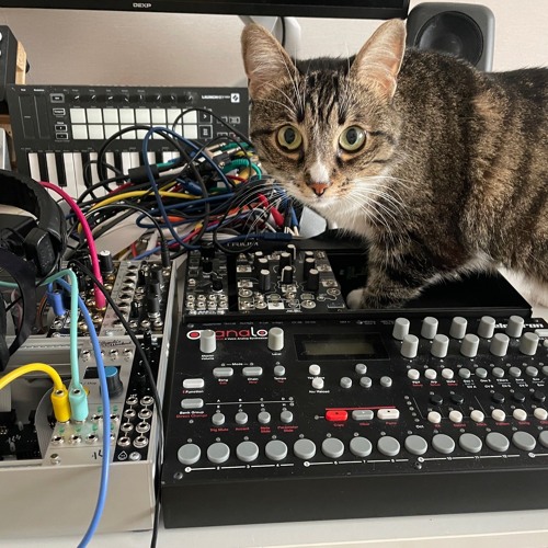 mind corrosion ⁽ᵍᵉⁿᵉʳᵃᵗᵒʳ⁾