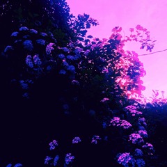 make.me.believe [wip]