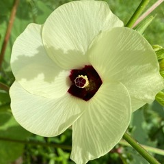 When The World Wakes Up