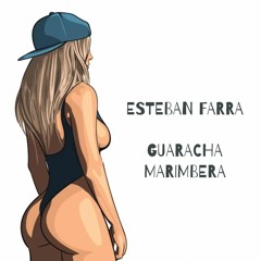 Guaracha Marimbera - Esteban Farra (Guaracha Aleteo Zapateo)(Original Mix) 2020