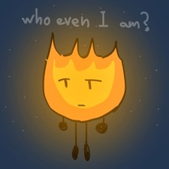Why Can't We Never See That Ever Wonderful Star Again?