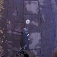 skóhljóðaskjóða