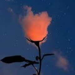 they ask me y ! (prod. me)