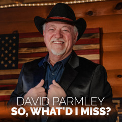 David Parmley - "Climbing The Walls"