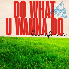 Do what u wanna do