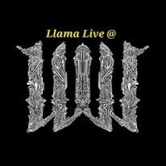 LLAMA - Live @ Wicked Woods 2022