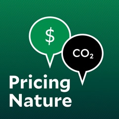 10. Tax Ourselves? Why Companies and Institutions Are Pricing Their Own Emissions
