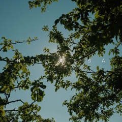 NO MORE PARTY LIVE RECORD 20 AOUT