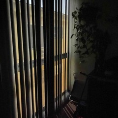 i hated that house (12th stout street)