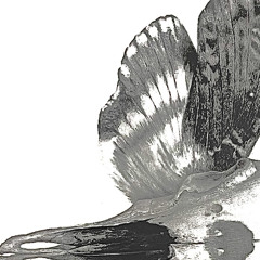 i see you in my dreams