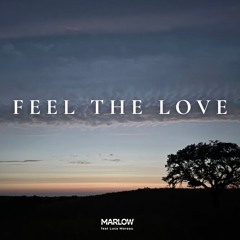 Feel The Love (feat. Luca Moreau)
