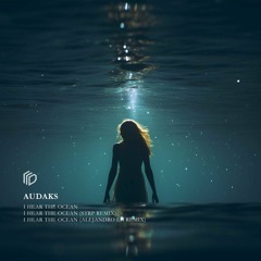 Audaks - I Hear the Ocean (Original Mix) [Desfase Records]