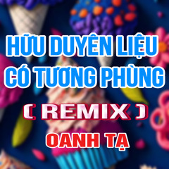 Hữu Duyên Liệu Có Tương Phùng (HM Remix)