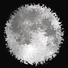 Black Boots In The Moonlight