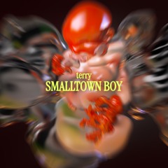 terry - SMALLTOWN BOY