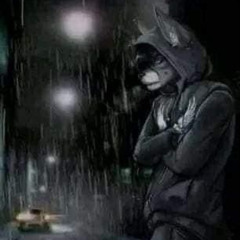 провод