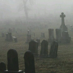 buried her in my back yard