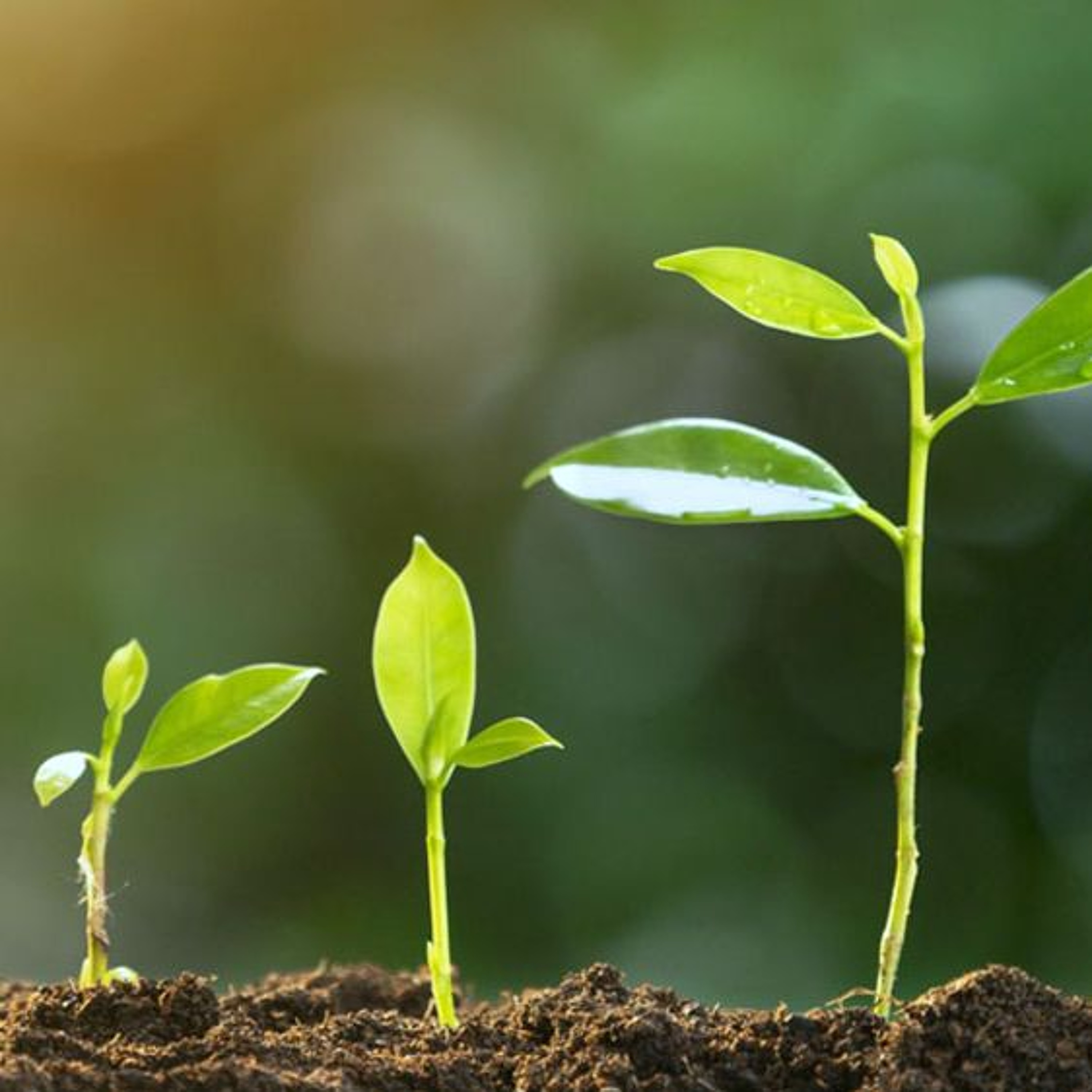 Growing Together in Contentment