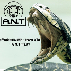 Jared Benjamin - Snake bite (A.N.T flip)