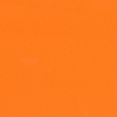 July Nineteenth (demo)