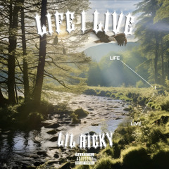 Life I Live (Freestyle)