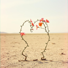 Love's Last Battlefield